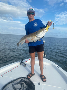 Bay St. Louis Redfish Dream!